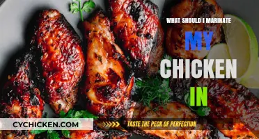 Delicious Chicken Marinades: Top Flavorful Recipes to Try Tonight