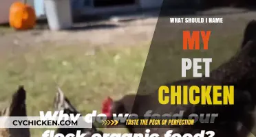Cluck-tastic Names: Creative Ideas for Your Pet Chicken's Perfect Identity