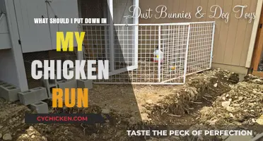 Chicken Run Essentials: What to Put Down?