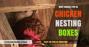 Essential Items for Chicken Nesting Boxes: A Complete Guide