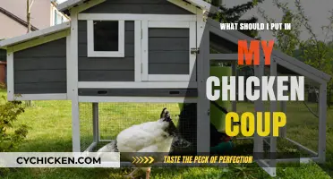 Essential Items to Include in Your Chicken Coop for Happy Hens