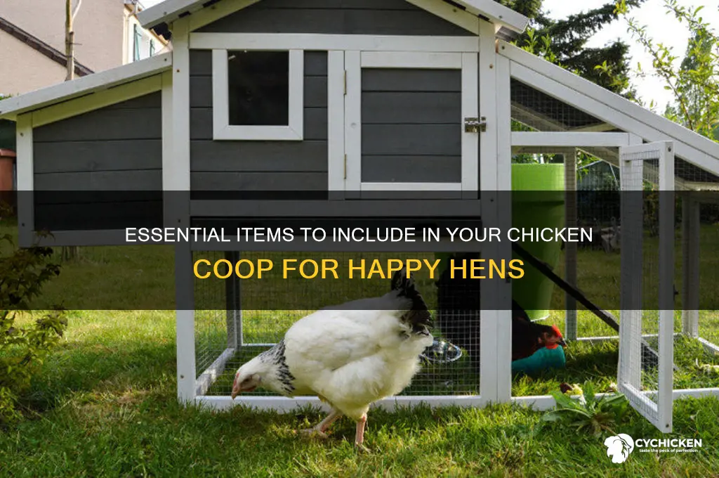 what should i put in my chicken coup