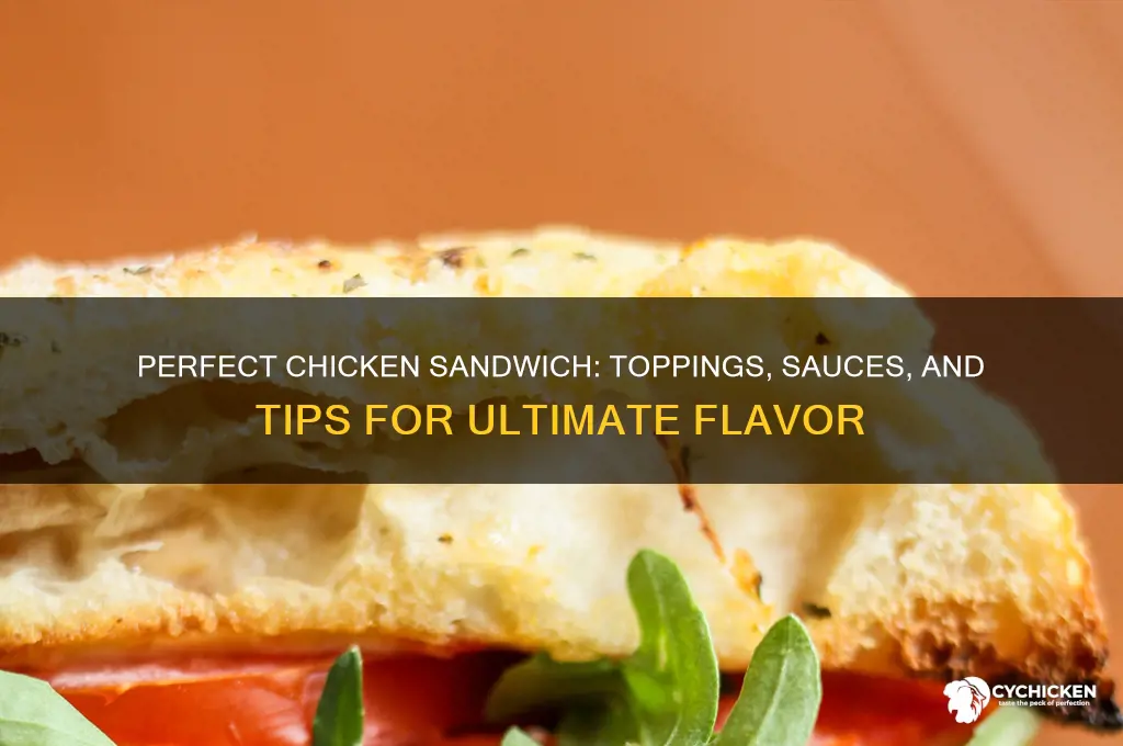 what should i put on a chicken sandwich