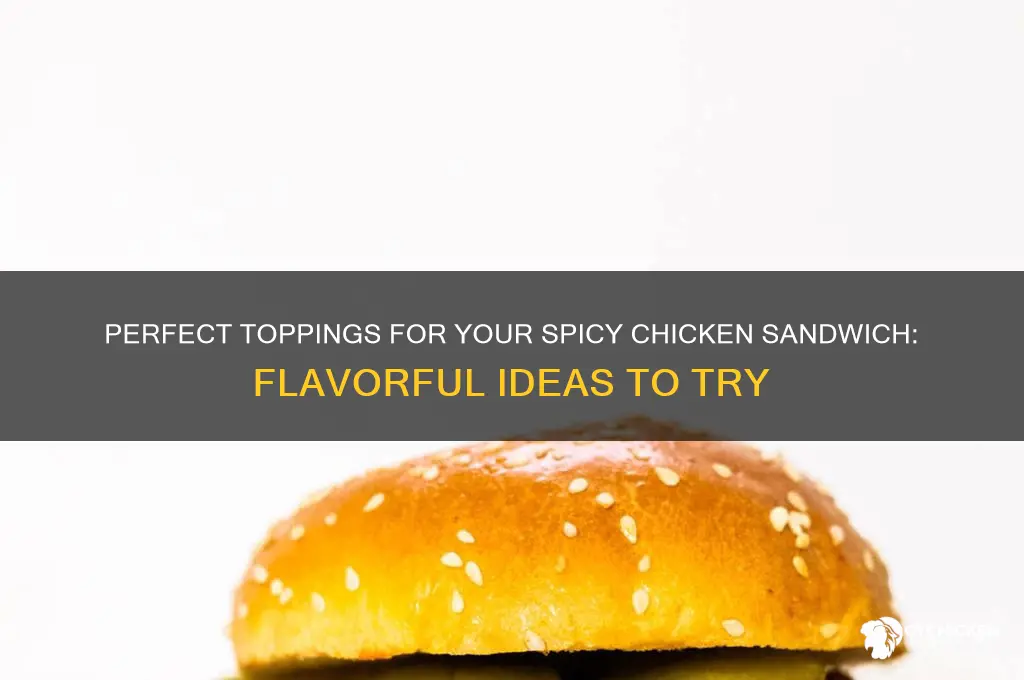 what should i put on spicy chicken sandwich