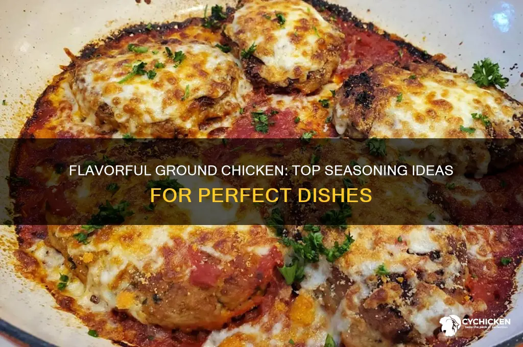 what should i season ground chicken with