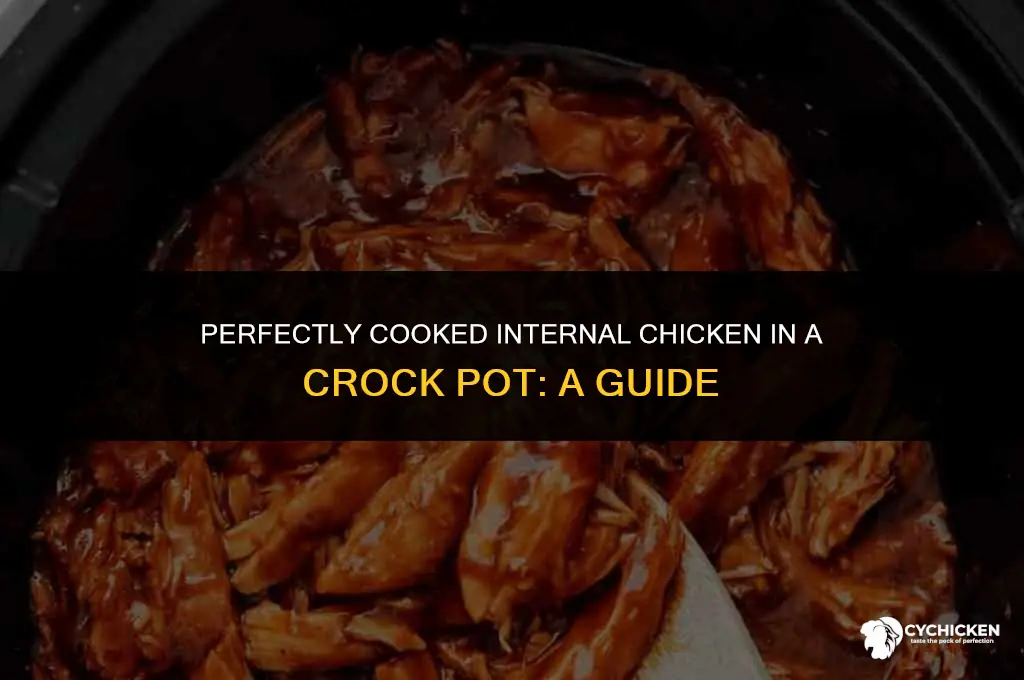 what should interal chicken be in crock pot