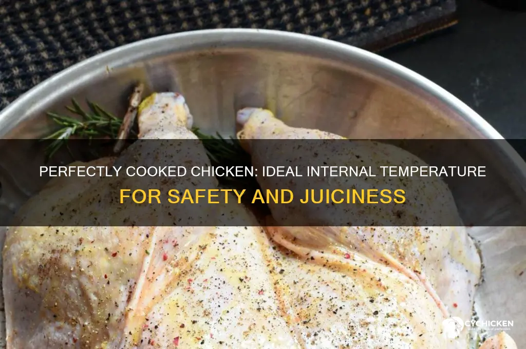 what should internal temperature of chicken e