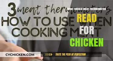 Perfect Chicken Every Time: Ideal Meat Thermometer Readings Explained