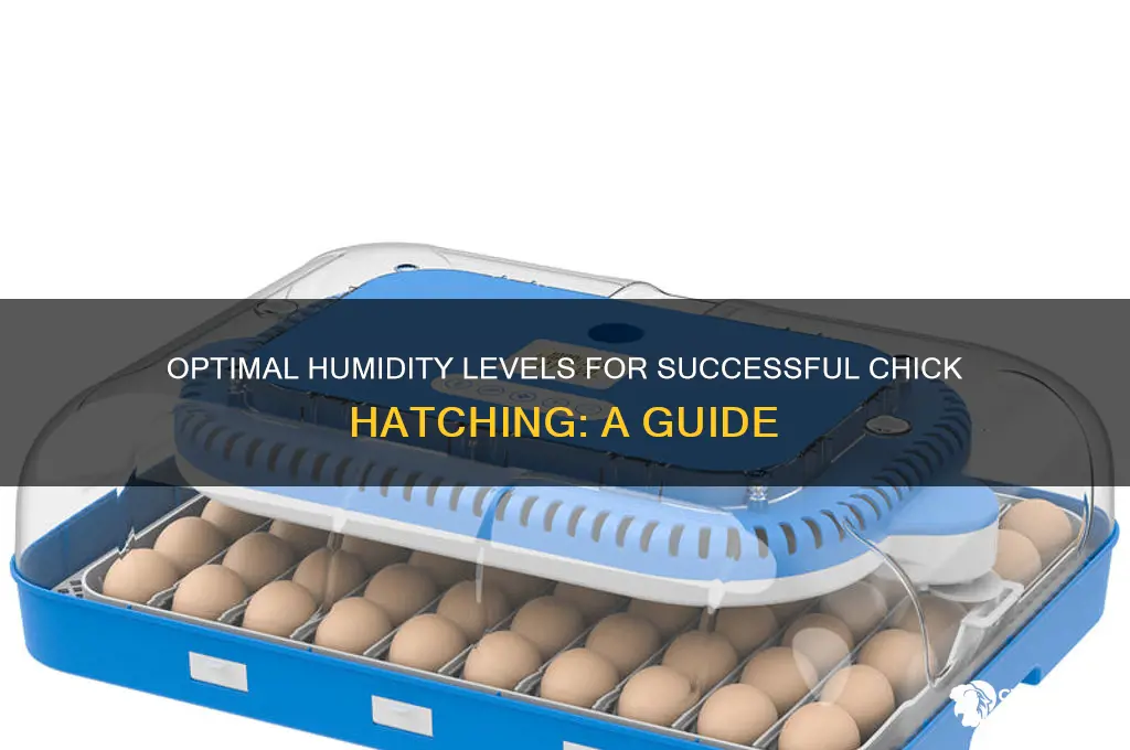 what should the humidity be for hatching chicks