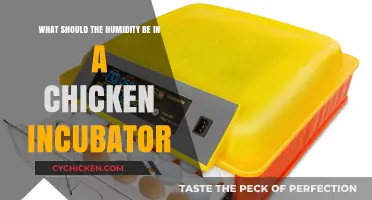 Ideal Humidity Range for Chicken Incubators