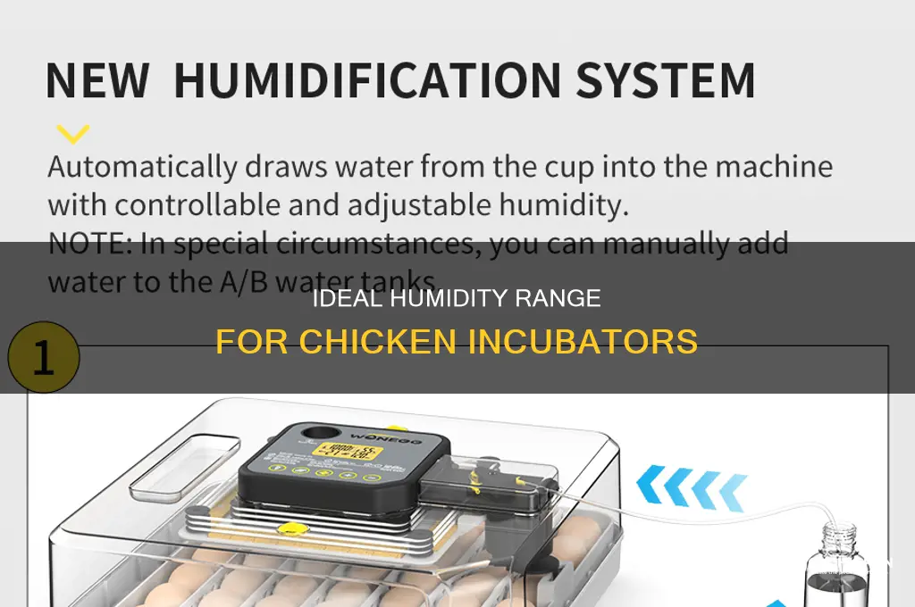 what should the humidity be in a chicken incubator