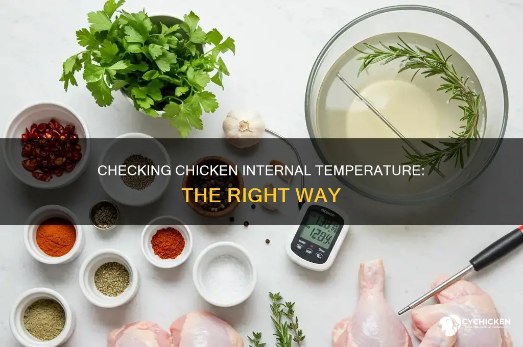what should the internal temp of a chicken be