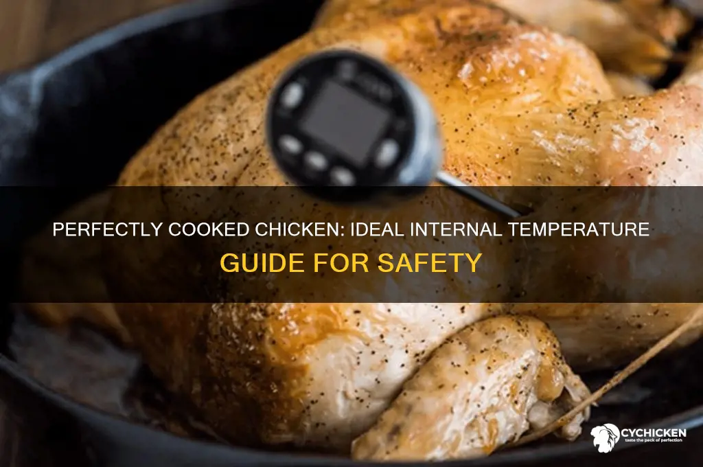 what should the internal temp of chicken
