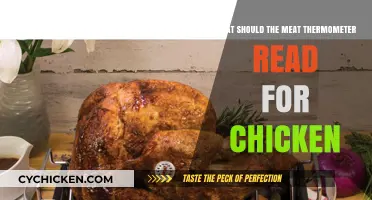 Perfect Chicken Every Time: Ideal Meat Thermometer Reading Guide