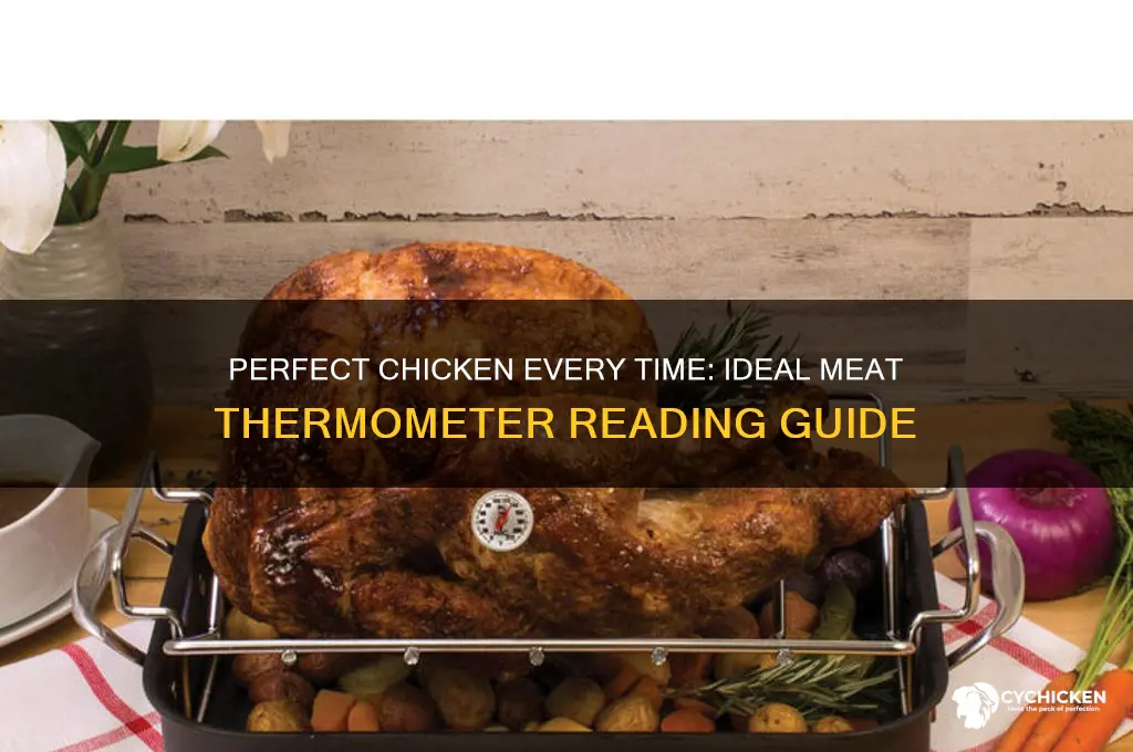 what should the meat thermometer read for chicken