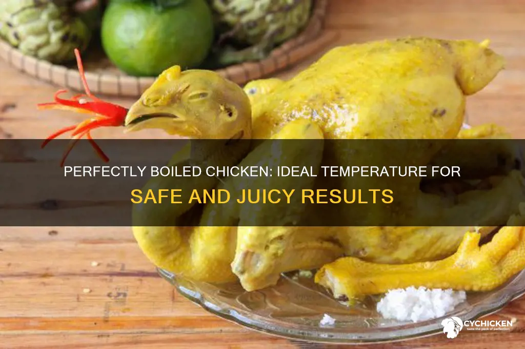 what should the temperature of boiled chicken be