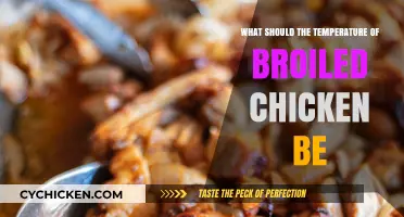 Perfect Broiled Chicken: Ideal Internal Temperature for Juicy Results