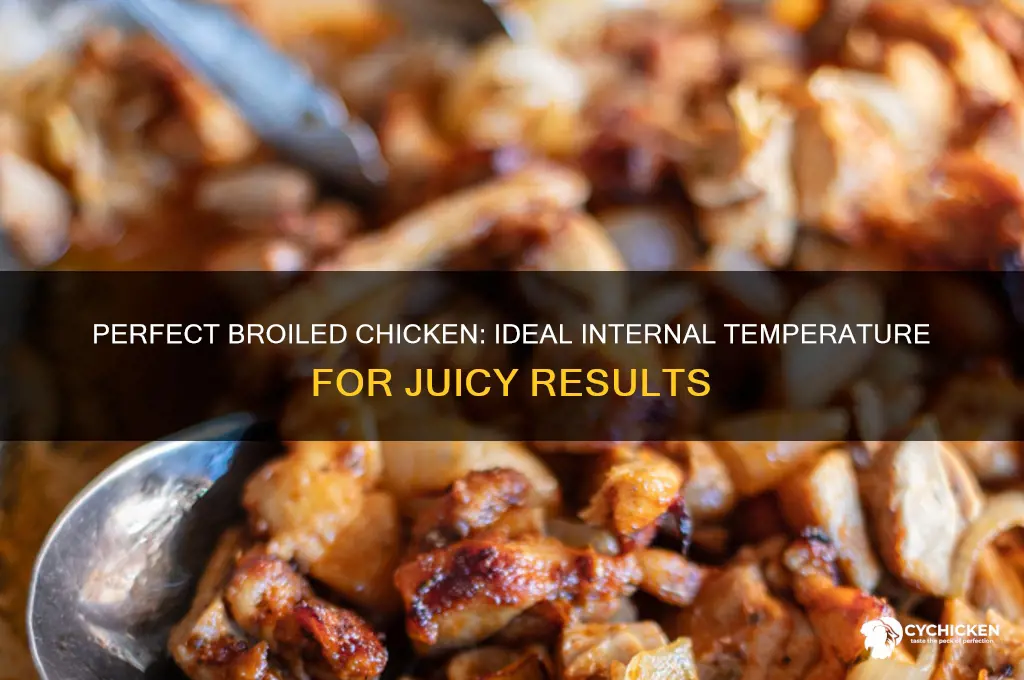 what should the temperature of broiled chicken be