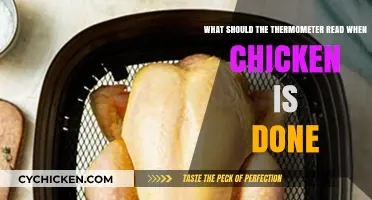 Thermometer Reading for Perfectly Cooked Chicken
