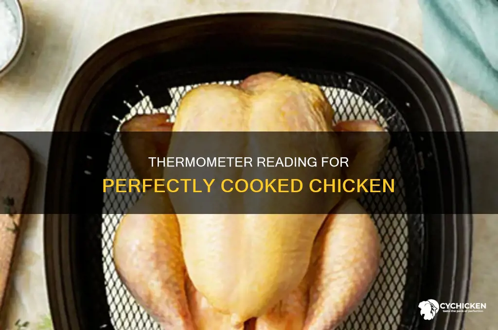 what should the thermometer read when chicken is done