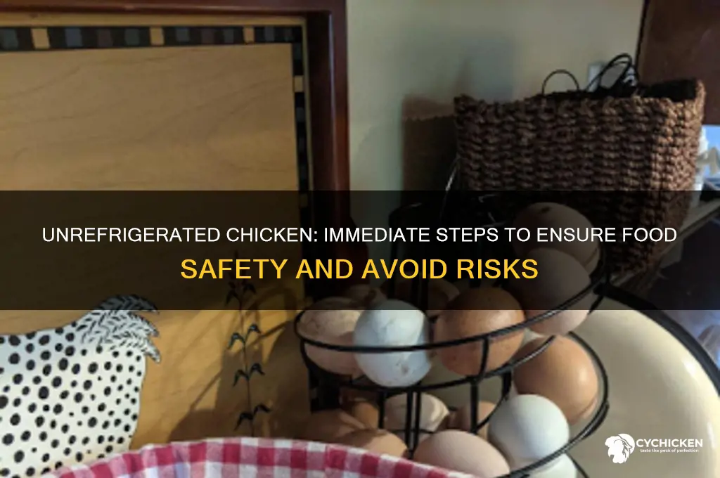 what should you do chicken was not refrigerated