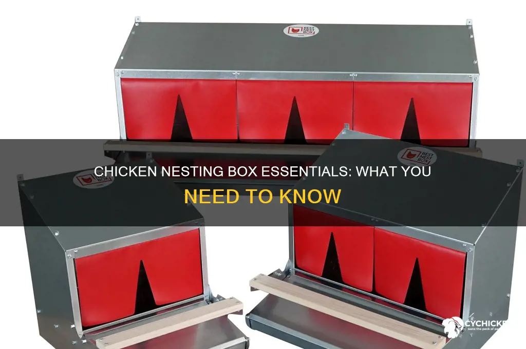 what should you put in a chicken nesting box