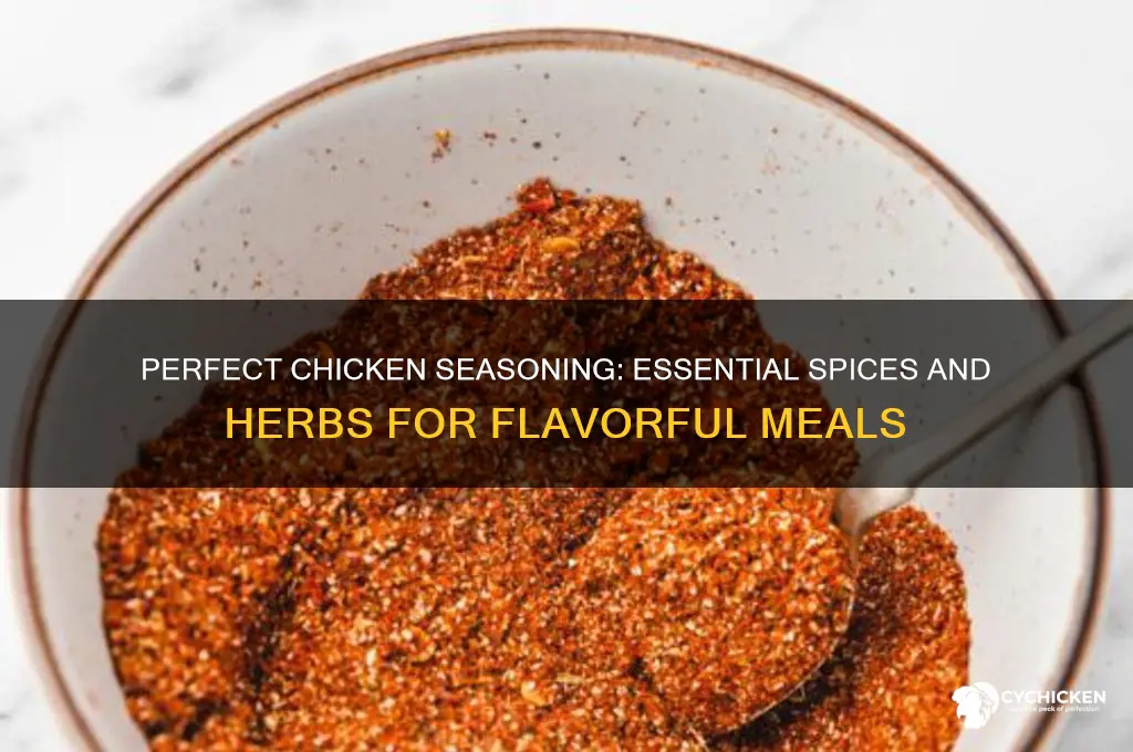 what should you season your chicken with