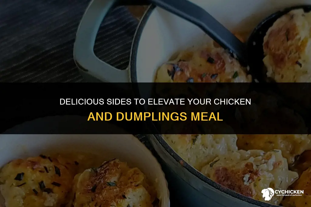 what should you serve with chicken and dumplings