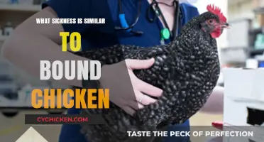 Unraveling Illnesses Resembling Bound Chicken: Symptoms, Causes, and Treatments