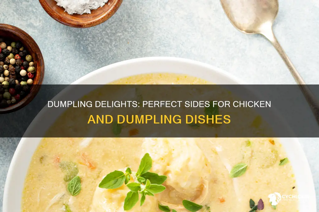 what side dish goes well with chicken and dumplings