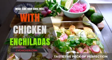 Perfect Pairings: Best Side Dishes to Complement Chicken Enchiladas