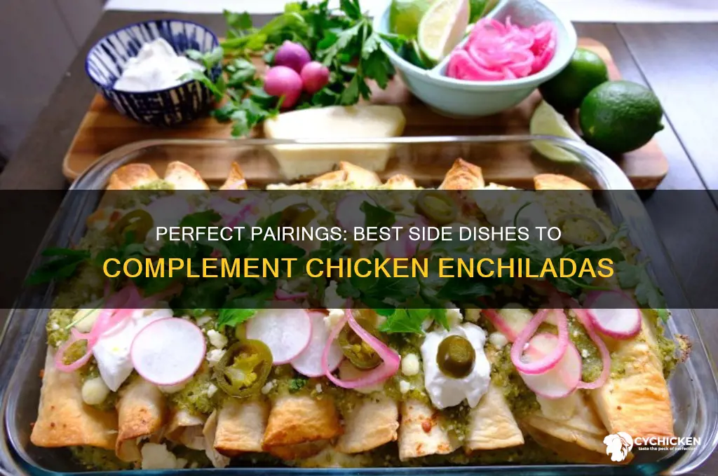 what side dish goes well with chicken enchiladas