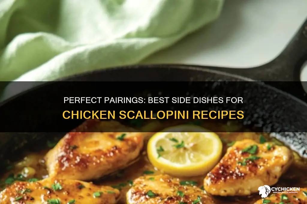 what side dish goes well with chicken scallopini
