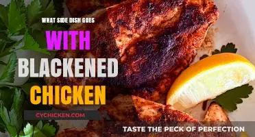 Perfect Pairings: Best Side Dishes to Complement Blackened Chicken