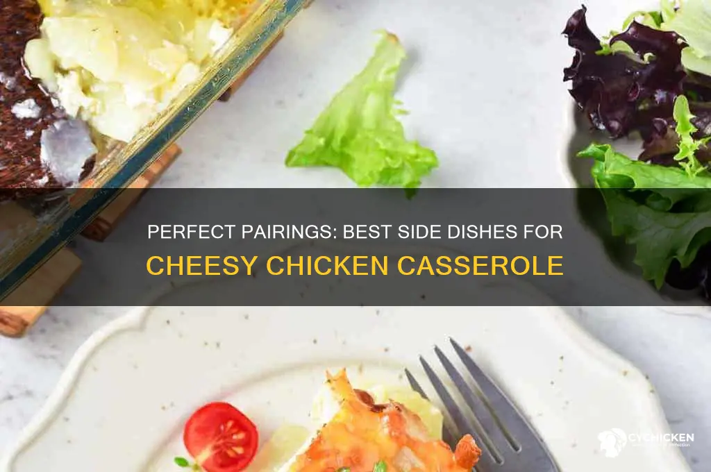 what side dish goes with cheesy chicken casserole