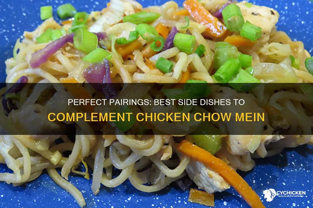 what side dish goes with chicken chow mein