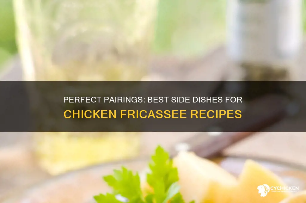 what side dish goes with chicken fricassee