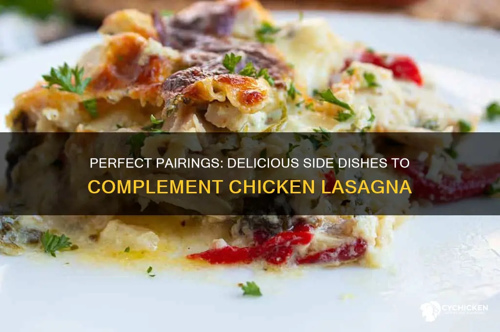 what side dish goes with chicken lasagna