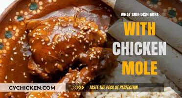 Perfect Pairings: Best Side Dishes to Complement Chicken Mole