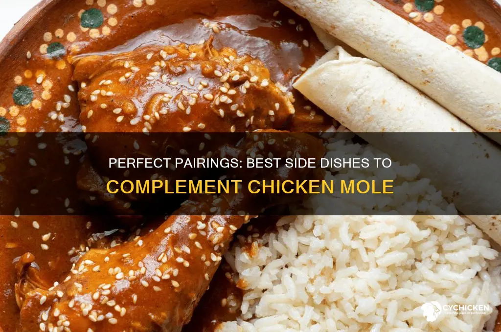 what side dish goes with chicken mole
