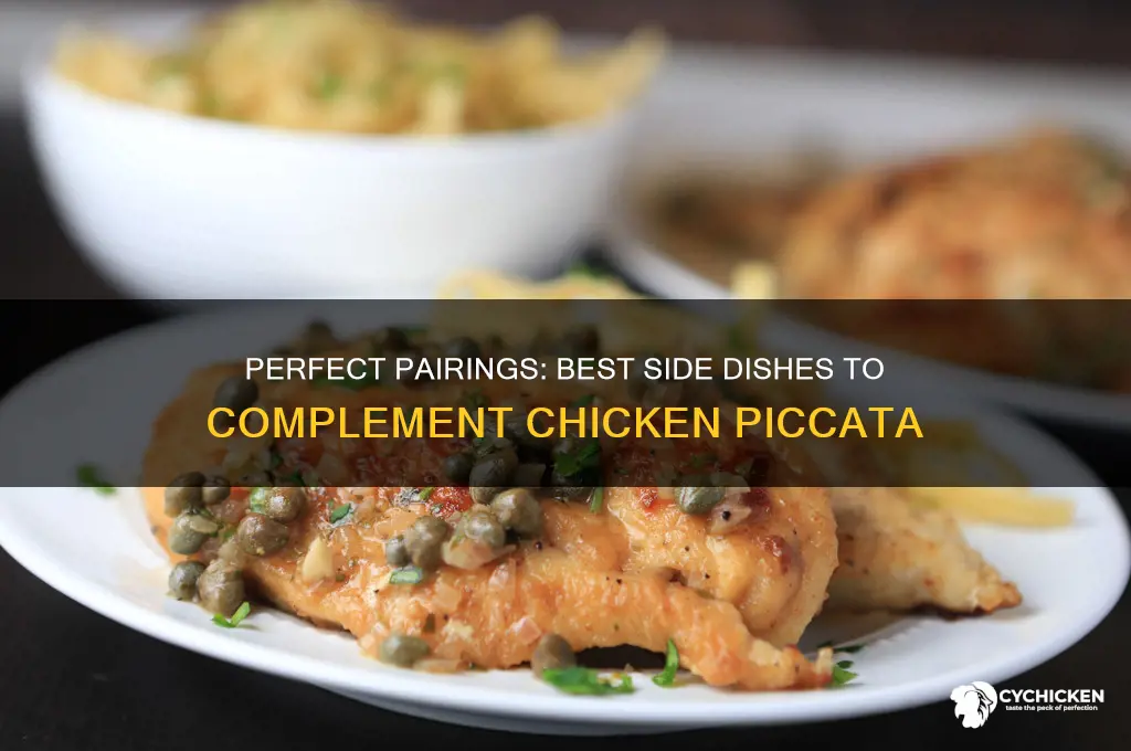 what side dish goes with chicken picatta
