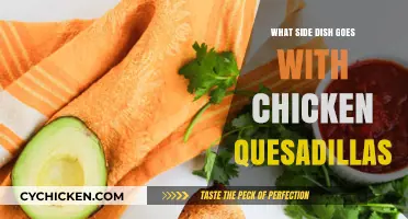 Perfect Pairings: Best Side Dishes for Chicken Quesadillas
