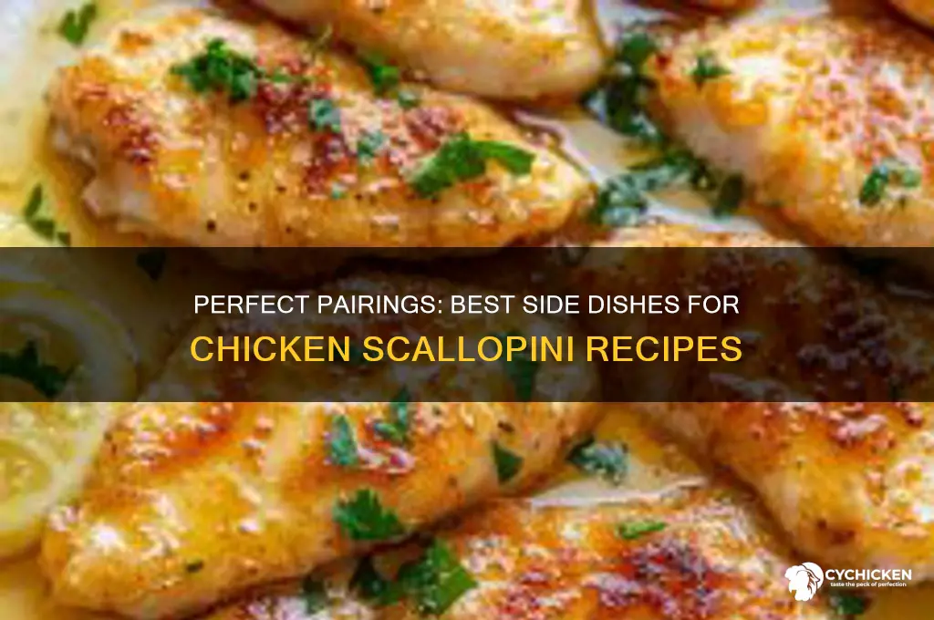 what side dish goes with chicken scallopini