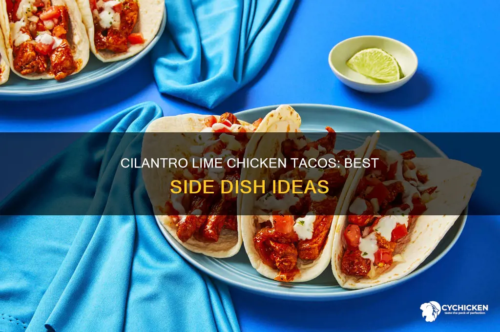 what side dish goes with cilantro lime chicken taco meal