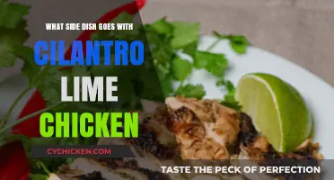 Perfect Pairings: Best Side Dishes for Cilantro Lime Chicken