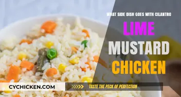 Cilantro Lime Chicken: Best Side Dish Ideas