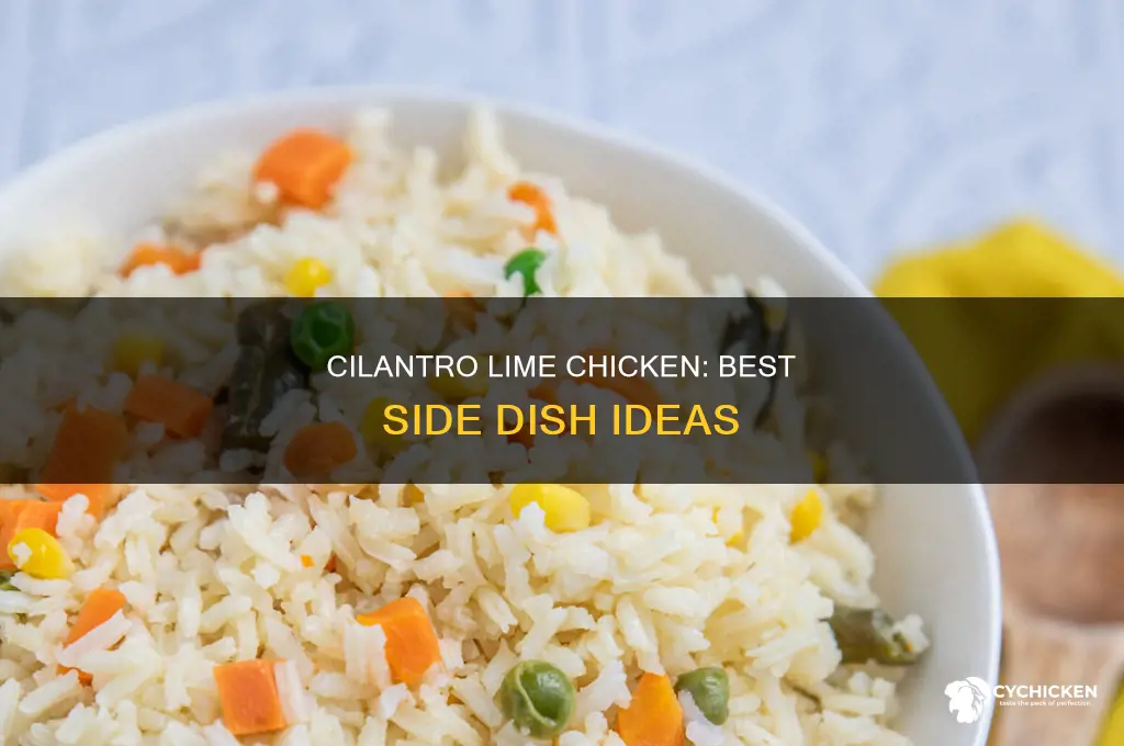 what side dish goes with cilantro lime mustard chicken