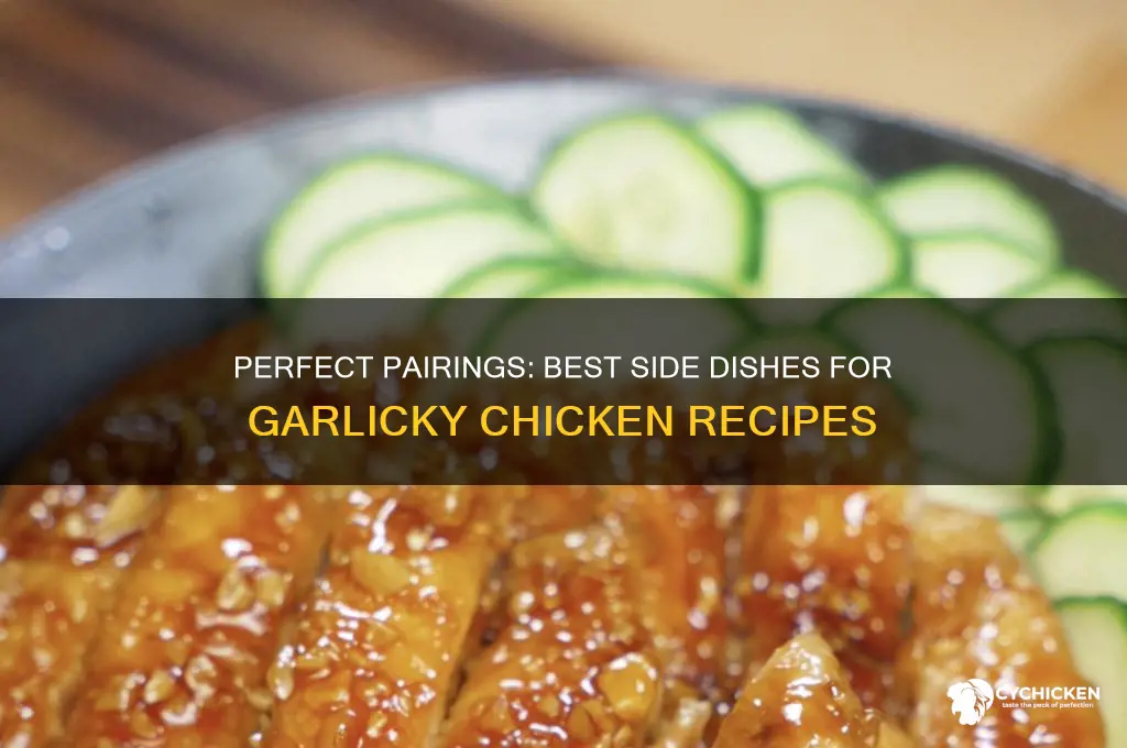 what side dish goes with garlicky chicken