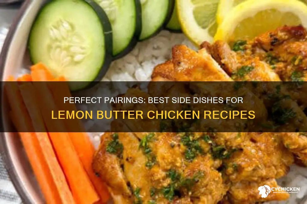 what side dish goes with lemon butter chicken