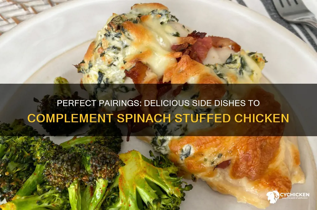 what side dish goes with spinach stuffed chicken